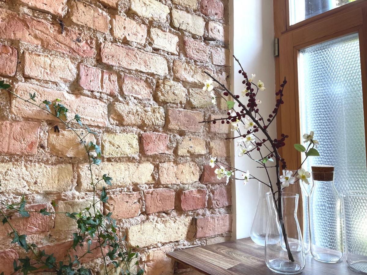 Cozy Matisa Apartment, Free Parking, Self Check-in Appartamento *